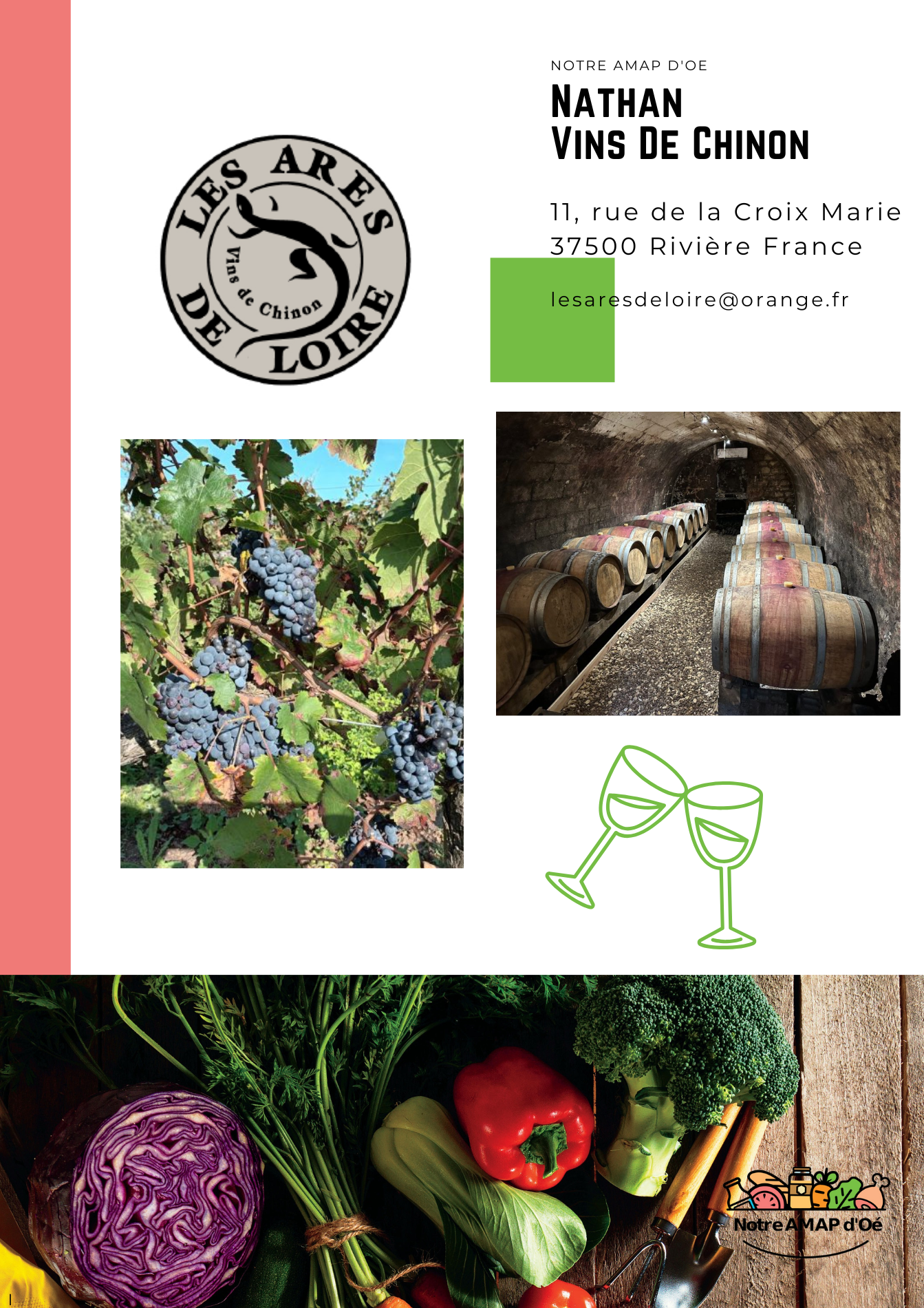 Les Ares de Loire - Vin de Chinon.png